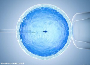 关于靠谱孕妈供卵代孕包生儿子